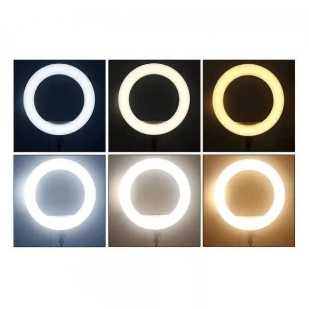 Six square panels showing a ring light in different color modes: white, warm yellow, cool white, and warm amber, arranged in a 2x3 grid on a white background.