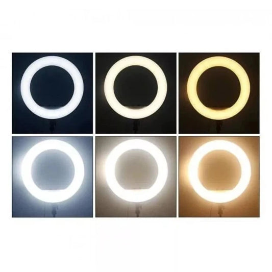 Six square panels showing a ring light in different color modes: white, warm yellow, cool white, and warm amber, arranged in a 2x3 grid on a white background.