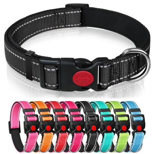 Dog collar belt CLP1