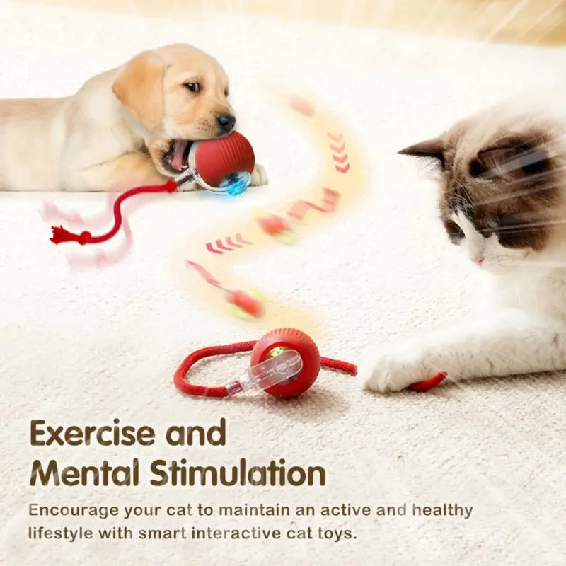 Smart Automatic Self Moving Cat Toy Ball Electric Interactive Rolling Pet Toy with USB Charging for Cats and Small Dogs