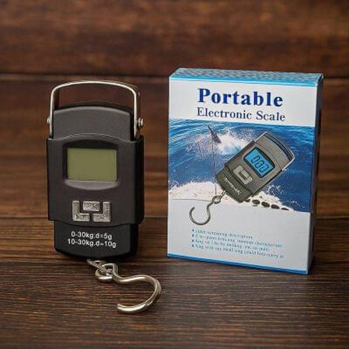 Portable digital electric scale